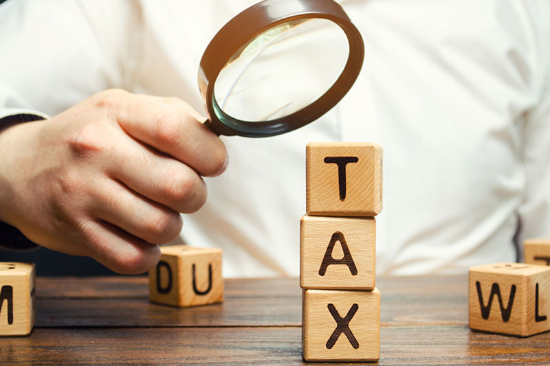 Taxopia's company tax returns